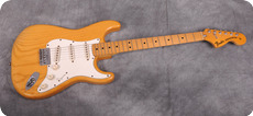 Fender Stratocaster 1973 Nature