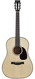 Santa Cruz 12 Fret Dreadnought