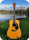 Martin D-41 1982-Natural