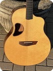 Mcpherson Guitars MG 3.5 2010 Black Acacia