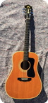 Guild-D50 NT-1977-Natural