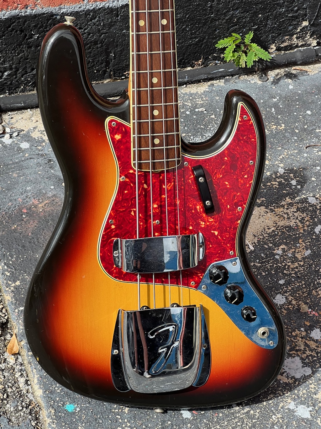 1966 fender jazz bass for sale discount