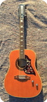 Eko Ranger XII EL 1970 Natural