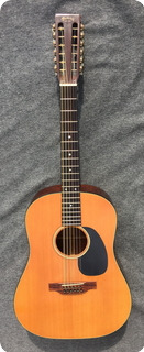 Martin D12 20 1971 Natural