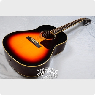 Epiphone Aj 220s/vs 2013