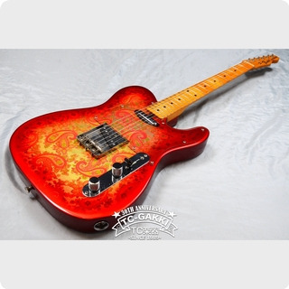 Fender Japan 1991 1992tl69 70 Custom Edition 1990
