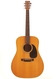 C. F. Martin & Co D-28 1976