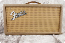 Fender-Reverb Tank Unit-1961-Brown Tolex