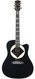 Gibson Jerry Cantrell 'Atone' Songwriter