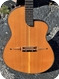 Rick Turner RENAISSANCE RS6 STD. 1996 Natural Finish