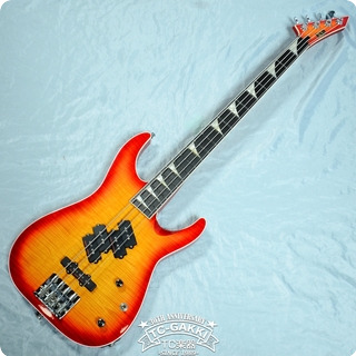 Esp Ppj Type 2010