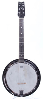 Washburn B 12g Six String Banjo 1989 Natural