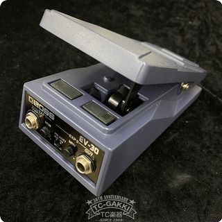 Boss Ev 30 Dual Expression Pedal 2021