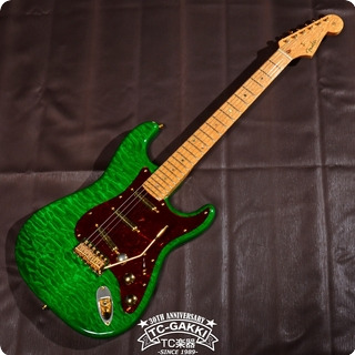 Fender Custom Shop 2014 Stratocaster Nos Master Builder Greg Fessler 2014