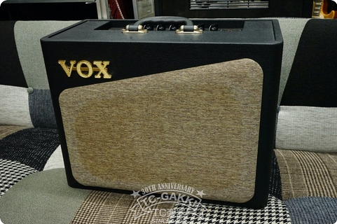 Vox Av15 2010