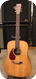 Martin 1996 DM 1996