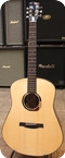 Ca Guitars 2021 C Dreadnought 2021