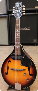Fender 2003 Fm52e Mandolin 2003