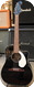 Fender 2016 Sonoran SCEBLK 2016