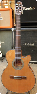 Richwood Rc 16 Ce Artist Series Classical
