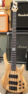 Wolf 2008 4 String Bass Spalted Maple 2008