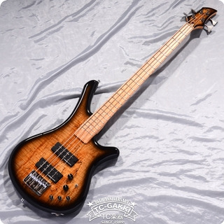 Esp Ws Type Spalted Flame Maple 2000