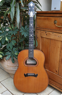 Zemaitis Custom Acoustic Ex George Harrison 