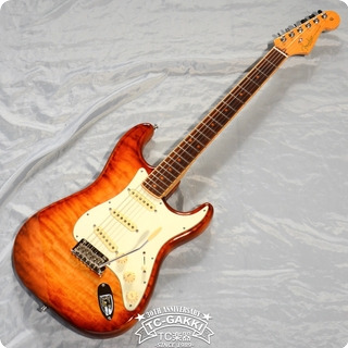 Fender Usa 2013 Fender Select Stratocaster 2013