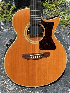 Guild Songbird Nt 1990 Natural Finish