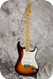 Fender Stratocaster Standard 2010-Sunburst
