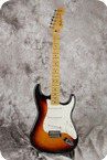 Fender Stratocaster Standard 2010 Sunburst