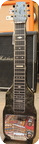 Magnatone Circa 1950s Lapsteel 1950