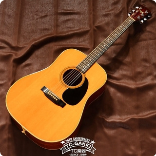 Martin 1976 D 76 “ Bicentennial Commemorative Limited Edition” 1976