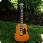 Martin D 45 Celtic Cross Brazilian 2004