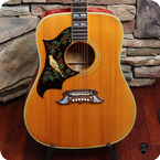 Gibson Dove 1964 Natural