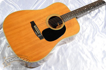 Martin 1967 D 28 1967