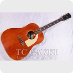 Epiphone 1968 FT 79 Red 1968