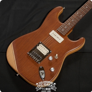T.s Factory 25anniversarry Last Fender Clone Kalin/alder 2020