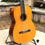 Martin N 20 Brazilian 1969 