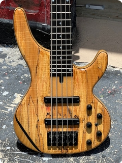 Petrounov Sl 5 5 String Bass 2009 Spalted Maple 