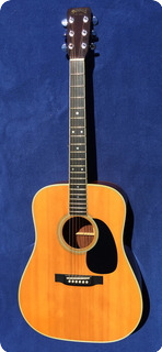 Martin D 35 Brazilian 1969 Natural