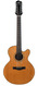 Santa Cruz F12-27 12 String 1981