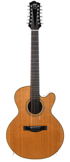 Santa Cruz F12 27 12 String 1981