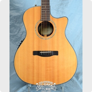 Fender Ga45sce 2010