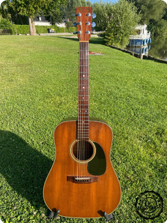 Martin D 19 1979