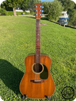 Martin D 19 1979