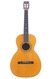 Washburn Style 897 - Martin Style Parlor 1920