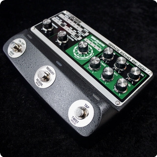 Boss Re 202 Space Echo 2021
