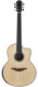 Lowden Pierre Bensusan Honduran Rosewood Adirondack Bevel 2020