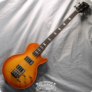 Edwards E Lb 85 【4.75kg】 2000